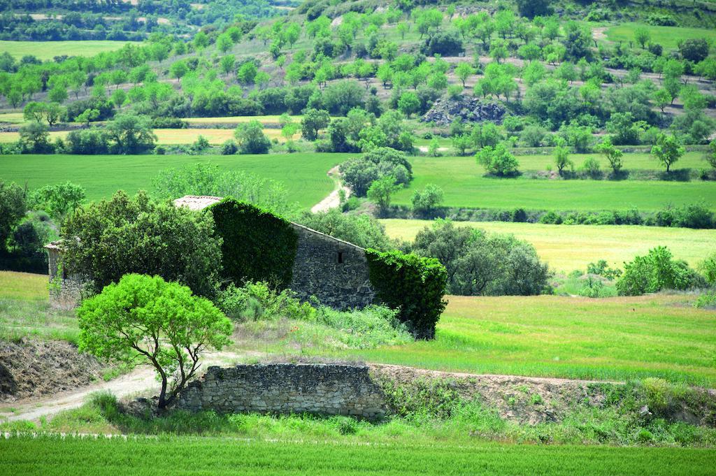 Hostal Palouet De Segarra Exterior photo